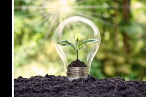 Visual representation of green energy. A plant growing inside a lightbulb, on a bed of soil. 
