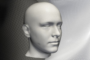 An image of a human head created using statistical shape modelling
