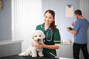 A woman in scrubs examining a dog with a stethoscope