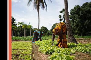 Farmers in Africa creating sustainable food sources 