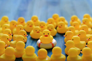 Rubber ducks with one in the middle on top of a life preserver buoy
