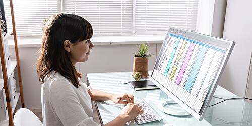 Woman using excel in the office